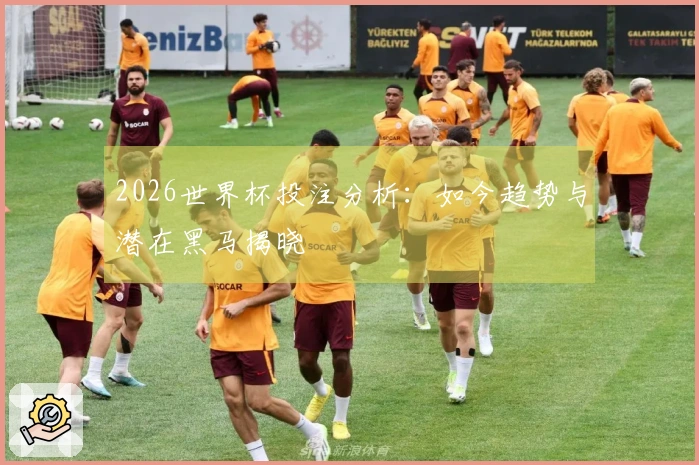 2026世界杯投注分析：如今趋势与潜在黑马揭晓
