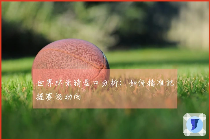 世界杯竞猜盘口分析：如何精准把握赛场动向