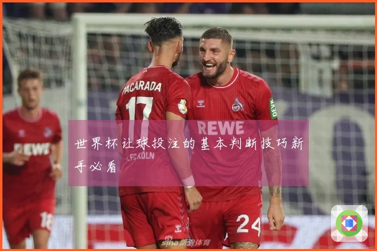 世界杯让球投注的基本判断技巧新手必看
