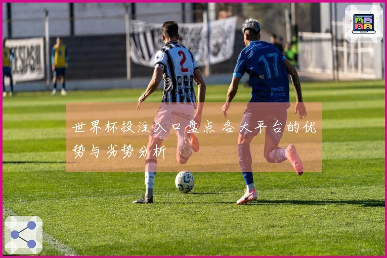 世界杯投注入口盘点 各大平台的优势与劣势分析